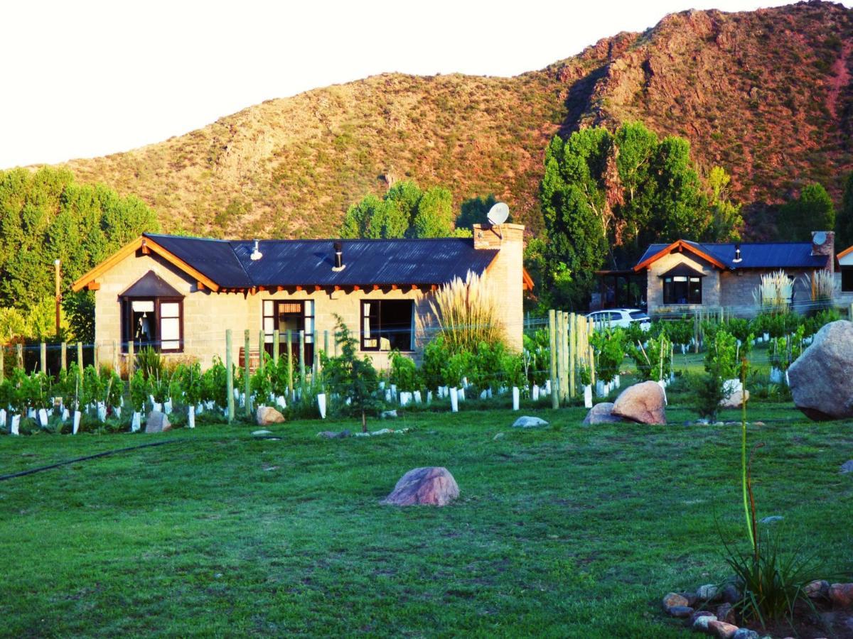 Ayres De Uco Lodge & Wine Lovers Los Árboles Exteriér fotografie