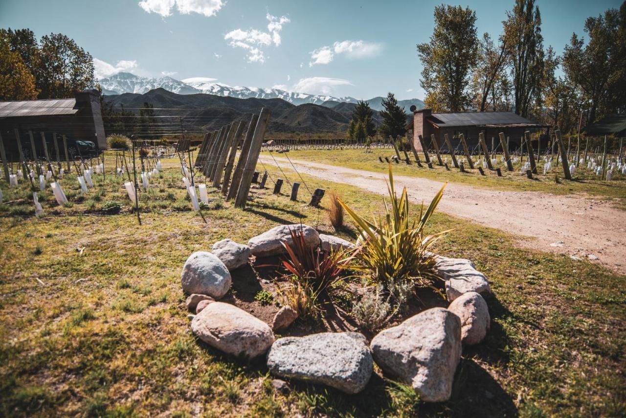 Ayres De Uco Lodge & Wine Lovers Los Árboles Exteriér fotografie