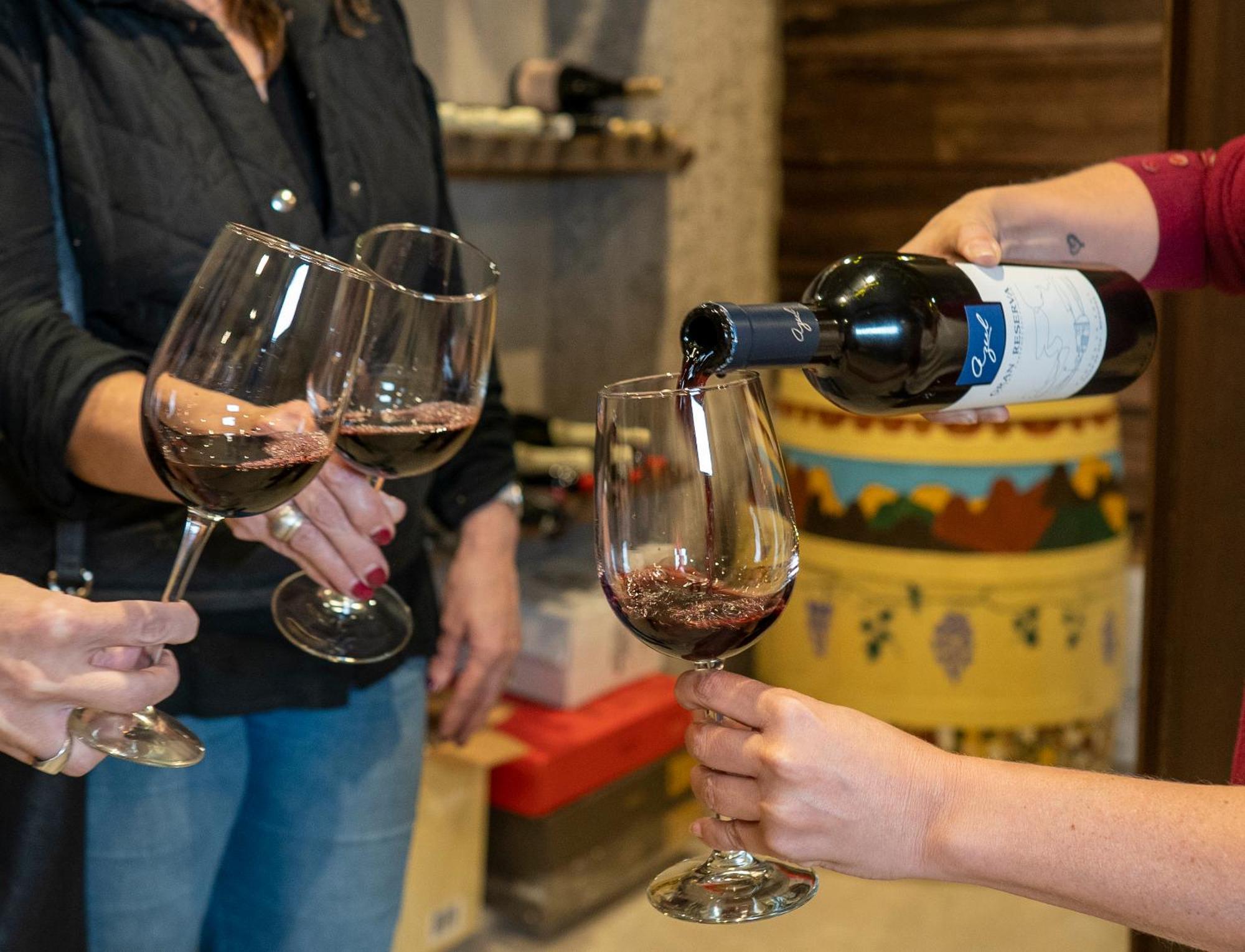 Ayres De Uco Lodge & Wine Lovers Los Árboles Exteriér fotografie